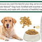 Bench & Field Holistic Natural Adult Dry Dog Food, Chicken Meal and Brown Rice Recipe 6.6 lb Bags (Pack of 2)