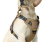 rabbitgoo Dog Harness Medium Sized No Pull, Tactical Service Pet Vest with Molle and Control Handle, Adjustable and Reflective Military Harness for Easy Walking and Training, Brown, M