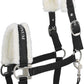 HORZE Howard Soft Fleece Padded Adjustable Polyester Horse Halter - Black - Cob