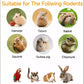Chinchilla Food, Papaya Grains Small Animal Treats - 10 oz, Suitable for Rabbit Treats, Sugar Glider Food, Herbivores
