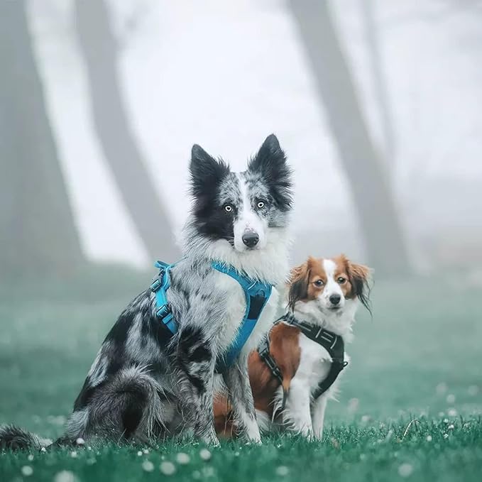 TRUE LOVE Truelove Adjustable No-Pull Dog Harness Reflective Pup Vest Harnesses Comfortable Control Brilliant Colors TLH5651(Blue,M)