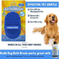Bodhi Dog Shampoo Brush - Pet Grooming & Bath Supplies for Dogs and Cats - Bath Brush for Long & Short Hair - Premium Scrubber for Shower, Bathing & Massage (Two Pack, Blue)
