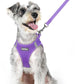 rabbitgoo Dog Harness Small Sized and Leash Set, Step in Soft Light Puppy Vest, Breathable Mesh Pet Harness, Reflective for Outdoor Safe Walking, Purple XL