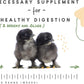 Manna Pro Chick Grit, Digestive Supplement for Young Poultry and Bantam Breed, Probiotics to Support Digestion, No Artificial Ingredients or Preservatives, Insoluble Crushed Granite, 25 lbs
