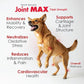 Liquid for Dogs - Vitamins, Minerals, Antioxidants - Glucosamine, Chondroitin - Beef Flavor - Maximum Joint Health Supplement for Dogs - 32 fl oz