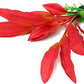 ALEGI Silk Aquarium Plants, 12 Inch Artificial Silk Plants Decorations for Fish Tank,Aquarium Décor Plastic Plants (Red, 2 Pack)