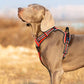 TRUE LOVE Dog Harness No Pull Nylon Reflective Pet Harness Adjustable Comfortable Control Step-in Brilliant Colors Truelove TLH56512 XS Red