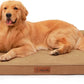 Chew Proof Dog Bed, 3" Memory Foam Dog Bed for Medium and Large Dogs, Removable and Washable Microsuede Cover, Waterproof Liner, Nonskid Bottom, 44x32 Inches XXL Khaki