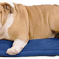 K9 Ballistics Tough Ripstop Dog Crate Pad - Durable & Machine Washable with Non-Skid Bottom and 120-Day Warranty, Fits 36" Wire Crates - Medium, Blue Quartz