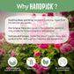 HANDPICK, Rose Buds Herbal Tea Bags - 50 Count | Caffeine Free Tulsi Tea with Chamomile & Rose Extracts | Floral & Smooth | Round Eco-conscious Tea Bags