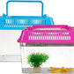 HANABASS Mini Fish Tank with Lid, Handheld Transparent Fish Box, Plastic Small Transparent Aquarium with Handle, Turtle Tortoise Habitat Tank, 5.9x4.3x3.7 Inches