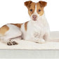 Best Pet Supplies Cute Dog Crate Mat Flat Bed with Waterproof Exterior, Thick Orthopedic Egg Foam Mattress, and Soft Sherpa Fleece Cover for Small, Medium, and Large Breeds - Beige, 24X16X3
