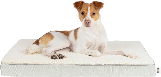 Best Pet Supplies Cute Dog Crate Mat Flat Bed with Waterproof Exterior, Thick Orthopedic Egg Foam Mattress, and Soft Sherpa Fleece Cover for Small, Medium, and Large Breeds - Beige, 35X22X4