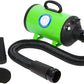 Flying Pig High Velocity Dog Pet Grooming Dryer w/Heater (Model: Flying One, Green)