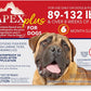 Apex Plus Flea and Tick Prevention for X-Large Dogs (89-132 lbs) | 6-Month Supply | Waterproof, 24-Hour Activation, 30-Day Protection