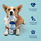 Vetericyn Plus Dog Wound Care Spray | Healing Aid and Skin Repair, Clean Wounds, Relieve Dog Skin Allergies, Safe for All Animals. 16 ounces