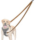 PetBonus Two Point Control Dog Leash, Works with No Pull Harnesses, No Tangle Dog Training Leashes, No Pull Padded and Reflective Walking Lead, Converts to Single Leash for Medium Large Dogs (Brown)