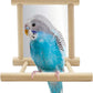 Hypeety Bird Parrot Mirror Toy Swing Hanging with Perch for Parrot Parakeet Budgies Cockatiel Conure Finch Lovebird (D)