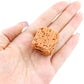 Maxmoral 10PCS 25mm Brown Aquatic Plant Ceramic Retaining Ring Base Fish Tank/Aquarium Decoration Tool Suitable for Aquascaping or Potting Plug