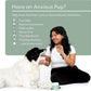 Reggie Anytime Calming Chews for Dogs | Natural Calming Dog Treats to Reduce Hyperactivity, Separation Anxiety, & Stress | Vet-Approved & Ideal for All Ages, Breeds, and Sizes (120 Count)