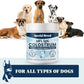 40% IgG Grass Fed Colostrum for Dogs, High IgG Third Party Tested, Immune Support, Skin & Gut Health, Seasonal Allergy & Itch Relief, Made in USA, 2.5 Oz