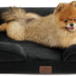 Bedsure Orthopedic Dog Beds for Small Dogs - Washable Small Dog Cat Bed Waterproof, Comfort Pet Couch Sofa with Washable Removable Cover, Pets Bed with Nonskid Bottom, Black, 24"