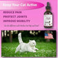 NODENS CAT Hip and Joint Glucosamine for Cats with Chondroitin - Cat Pain Relief from Inflammation - Cat Joint Supplement for Improved Joint Flexibility - Natural Liquid cat Health Supplies 59ml