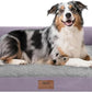Extra Large Dog Bed-Orthopedic Waterproof XL Dog Bed for XLarge Extra Big Dogs - Foam Couch Sofa Washable with Removable Cover-Purple