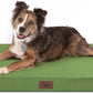 Orthopedic Dog Bed for Large Dogs, Big Waterproof Washable Dog Bed for Large Sized Dogs with Egg Crate Foam Pet Bed Mat, Removable Oxford Cooling Cover, Light Green
