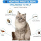 Flea Collar for Cats, Flea and Tick Collars for Cats and Kittens, 8 Month Protection, Gray, 1 Pack CAT