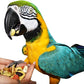 Birds LOVE All Natural Garden Blend Bird Food for Parrots 2lb