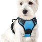 rabbitgoo Dog Harness No Pull with 2 Leash Clips, Adjustable Soft Padded, Reflective Oxford No Choke Pet Vest with Easy Control Handle for Puppy, Blue, XS