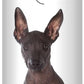 The Blissful Dog Xoloitzcuintli Nose Butter for Dry, Cracked Skin, Lick-Safe Dog Nose Balm with Moisturizing Shea Butter, Almond, Olive, and Essential Oils, Pet Supplies, Uncented, 0.50 oz.