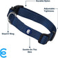 Blueberry Pet Essentials Dog Collar | Adjustable Nylon Dog Collar for Large Dogs | Classic True Navy Dog Collars for Small Dogs | Premium Pet Safety & Style with Secure Leash Attachment
