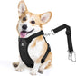 Dog Seat Belt, Safety Vest Dog Car Harness with Adjustable Buckle Dog Seat Belt for Vehicle Nylon Pet Safety Seat Belts Heavy Duty(M, Black)
