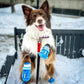 QUMY Dog Shoes for Large Dogs, Medium Dog Boots & Paw Protectors for Winter Snowy Day, Summer Hot Pavement, Waterproof in Rainy Weather, Outdoor Walking, Indoor Hardfloors Anti Slip Sole Blue 3