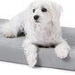 Cybarmour Indestructible Dog Bed - Outdoor Waterproof Chew Proof Dog Crate Pad - Orthopedic Kennel Mat for Aggressive Chewers - Small Breeds & Fits 24-Inch Crate - 23"x16", Limestone