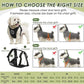 SlowTon Dog Seat Belt Harness for Car, Dog Car Harness Adjustable Mesh Breathable & Dog Seatbelt Safety Tether with Elastic Bungee for Small Medium Large Pets(Black, Double Clip, M)