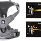 Truelove No Pull Dog Harness with Easy Control Handle and 2 Leash Attachments,Reflective Adjustable Pet Vest