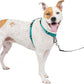 PetSafe 3 in 1 Dog Harness - No Pull Solution for Dogs - Reflective Dog Harness - Front D-Ring Clip Helps Stop Pulling - Comfortable Padded Straps - Top Handle Enhances Control - Teal - Medium