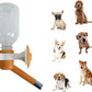 Choco Nose Patented No-Drip Dog Water Bottle/Feeder for Dogs/Cats and Other Small-Medium Sized Animals - for Cages, Crates or Wall Mount. 10.2 Oz. Mess Free Leak-Proof Nozzle 16mm, Orange (C590)