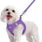 rabbitgoo Dog Harness Small Sized and Leash Set, Step in Soft Light Puppy Vest, Breathable Mesh Pet Harness, Reflective for Safe Outdoor Walking, Purple M