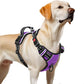 Timos Dog Harness Large Sized, No Pull with Neck Lockable Snap,No Choke Front Clip Dog Reflective Harness,Adjustable Metal Rings 3 Buckles,Easy Control Handle for Large Dogs Purple L