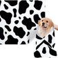 Cat Grooming Wrap, [XXL] Cat Restraint Wrap for Nail Clipping, Ear Cleaning, and Teeth Brushing, Self-Adherent, Anti-Bite, Anti-Scratch, Anti Scratch, Cow White