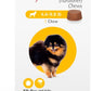 BRAVECTO Chew for Dogs, Flea & Tick, 1 Chew, 12 Week Supply, 4.4-9.9 lbs., Yellow Box