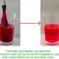 Cat Toys - No Chemical Dyeing Cat Feather Toys for Indoor Cats - Include Cat Wand and Natural Feather Refills