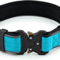 Plutus Pet Tactical Dog Collar, Reflective, Adjustable Heavy Duty Dog Collar, Soft Padded and Comfortable, for Small Medium and Large Dogs (Cyan, M)