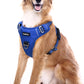 Funfox Dog Harness No Pull, Adjustable Pet Vest Harness, Super Soft Material with Vertical Handle Easy Control, Reflective Night Walking, 2 Leash Clips for XLarge Dogs, Blue, XL