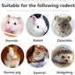 150g 3 Types of Combined Chew Toys Molar Sticks Sweet Bamboo Apple Branch Timothy Grass for Pets Chinchilla Squirrel Gerbil Hamster Squirrel Guinea Pigs