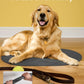 Absorbent Dog Food Mat-Dog Mat for Food and Water Bowl, Quick Dry Pet Food Mat, No Stains Dog Feeding mat, Dog Accessories Pet Supplies Mat-Dog Water Bowl Mat for Messy Drinkers